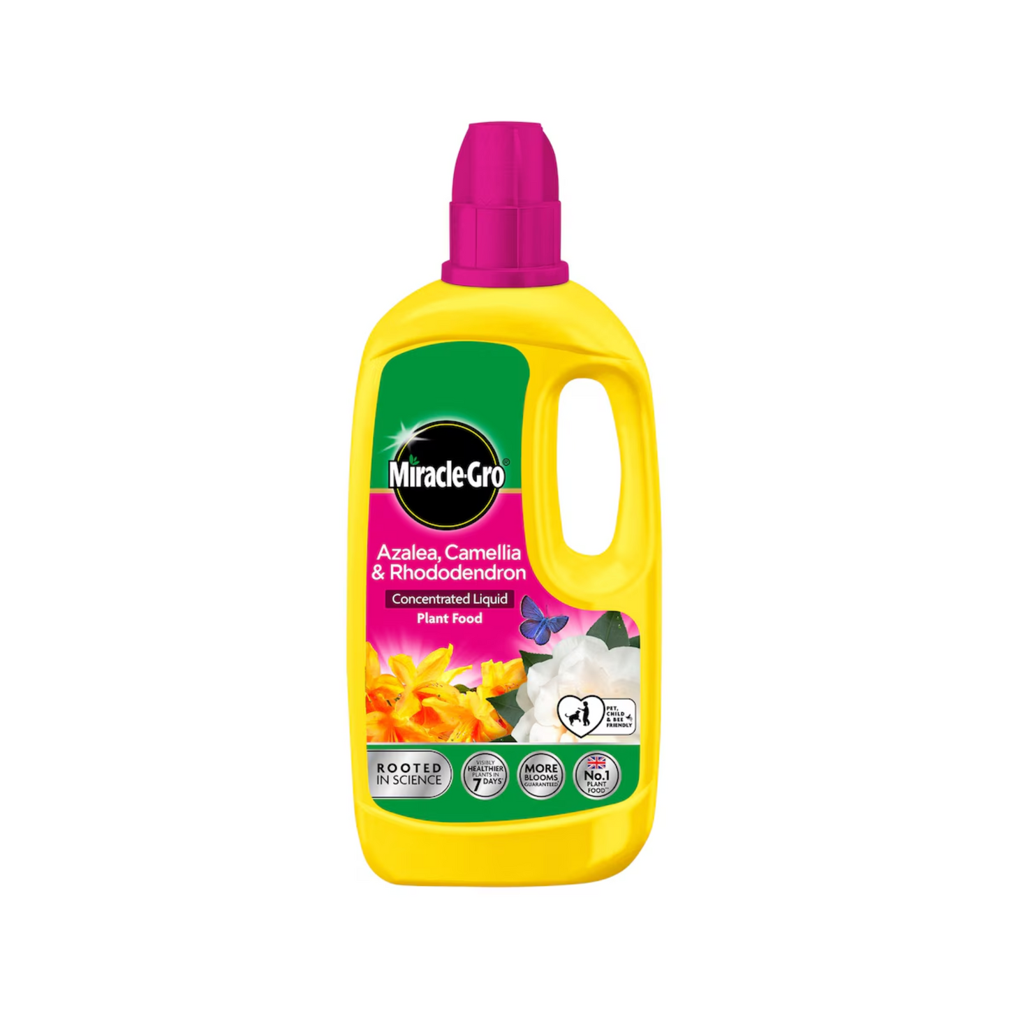 Miracle-Gro Azalea, Camellia & Rhododendron Plant Food 800ml
