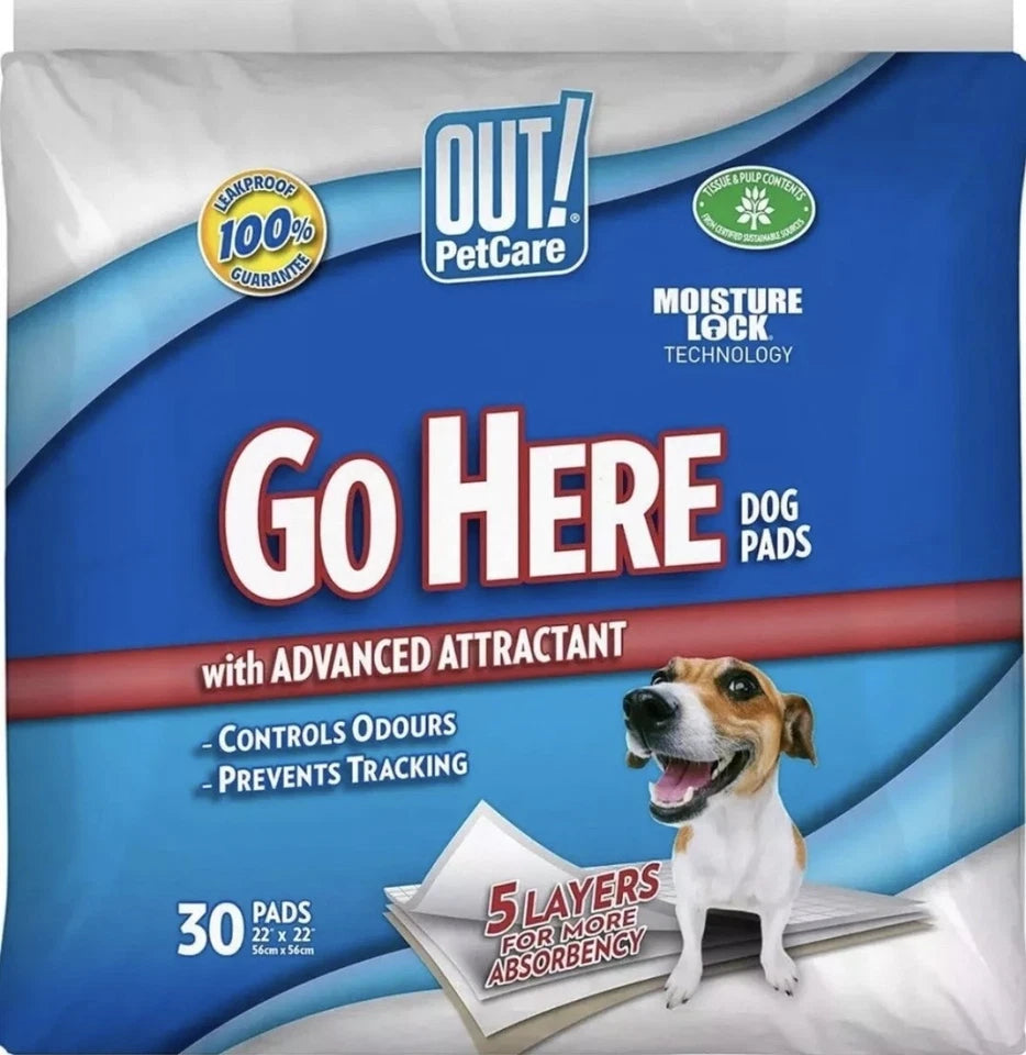 Out! Go Here Absorbent Dog and Puppy Pads, Pack of 30