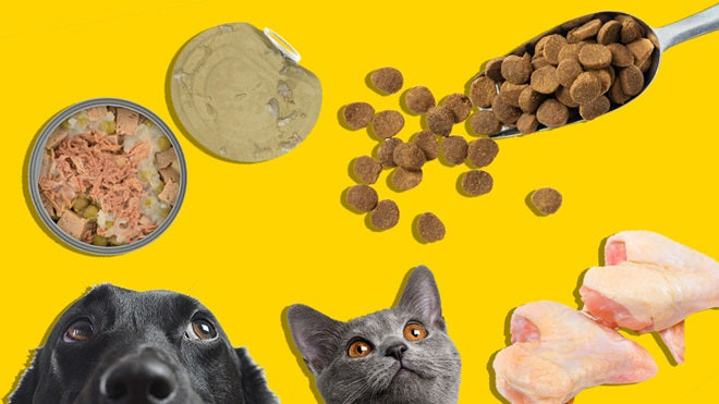 Pet Food & Supplies